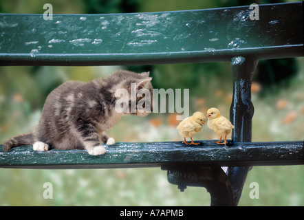 Migliori amici AMICI Foto Stock