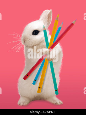 Migliori amici AMICI Foto Stock