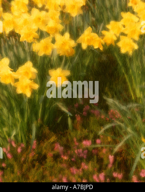 Arte digitale: narcisi Foto Stock