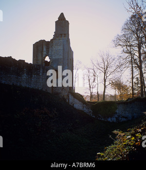 Old Sherborne Castle Dorset Foto Stock