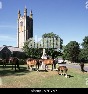 Widecombe In Moro nel Parco Nazionale di Dartmoor Devon con i cavalli pascolano sulla verde villaggio torre di St Pancras Chiesa Cattedrale di Mori OLTRE IL REGNO UNITO Foto Stock