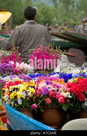 L'affascinante sunrise quotidiano mercato ortofrutticolo sul lago Daal Srinagar Jammu Kashmir Himalaya indiano Foto Stock