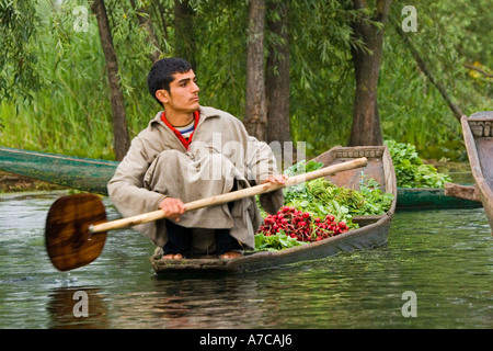 L'affascinante sunrise quotidiano mercato ortofrutticolo sul lago Daal Srinagar Jammu Kashmir Himalaya indiano Foto Stock