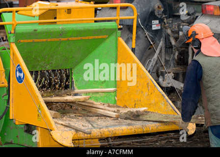 Truciolo essendo preparato da rifiuti slabwood per caldaie per il riscaldamento centrale con un trattore alimentato chipping macchina, Galles. Foto Stock