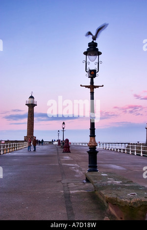 Seagull sbattimenti le sue ali su una luce lungo il molo di Whitby al tramonto Foto Stock