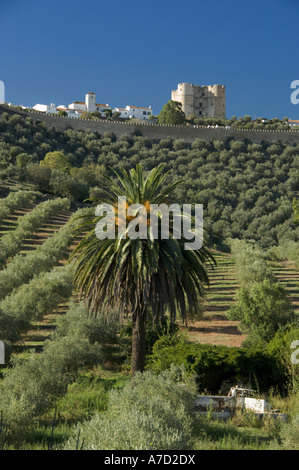 Il Portogallo, l'Alentejo, Evoramonte Castle Foto Stock
