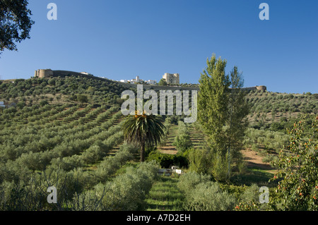 Il Portogallo, l'Alentejo, Evoramonte Castle Foto Stock