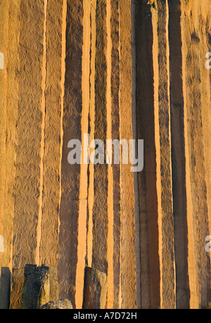 Colonna di basalto scogliere di central Oregon USA Foto Stock