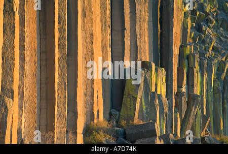 Colonna di basalto scogliere nel centro di Oregon USA Foto Stock