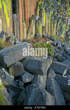 Basalto pilastri di roccia al tramonto nel centro di Oregon USA Foto Stock