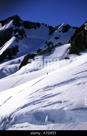 Scalatore TRAVERSATA GHIACCIAIO Albert sotto Mt Tasman Westland TePoutini Parco nazionale nuova zelanda antenna Foto Stock