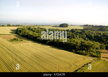 Vista aerea del paesaggio agricolo di un mosaico di campi estivi di cereali e pascoli nel nord Dorset, Regno Unito Foto Stock