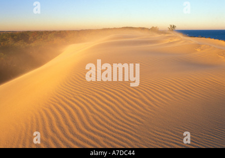 Mt Baldy dune di sabbia e il Lago Michigan all'Indiana Dunes National Lakeshore Indiana Foto Stock