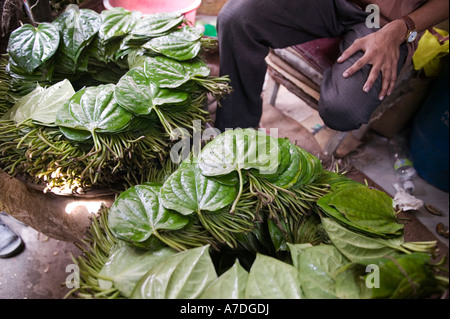 Betel lascia per la vendita nel mercato di Dhaka Bangladesh Foto Stock