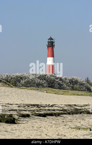 Hörnum Hoernum Insel Sylt Deutschland Nordfriesland Nordsee Isola Sylt Germania mare del nord europa Foto Stock