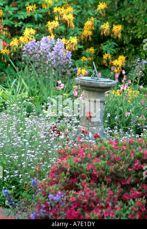 Vecchia meridiana in pietra nel giardino di primavera con myosotis blu e giallo e rosa azalee Foto Stock