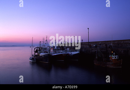 Barche da pesca e peschereccio nel porto di Oriel Co Louth Irlanda Foto Stock