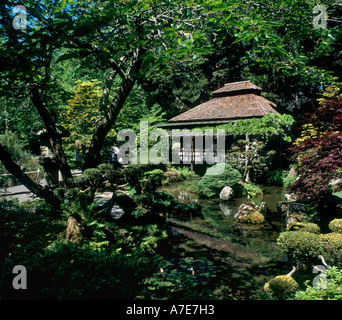 Giardino giapponese del tè, Golden Gate Park di San Francisco, California, Stati Uniti d'America Foto Stock