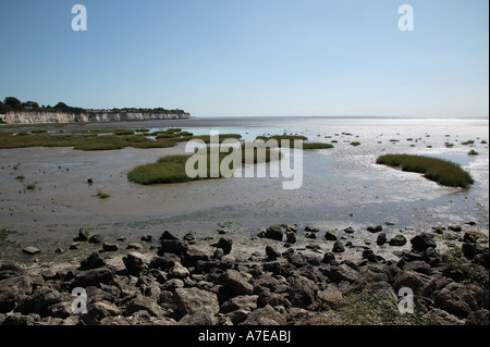 Panorama di Pegwell Bay, Kent Foto Stock