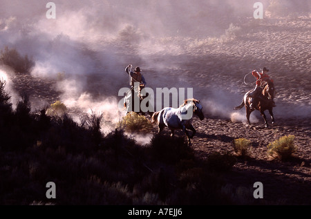 Due cowboy arrotondamento un cavallo in un ranch in Oregon centrale USA Foto Stock