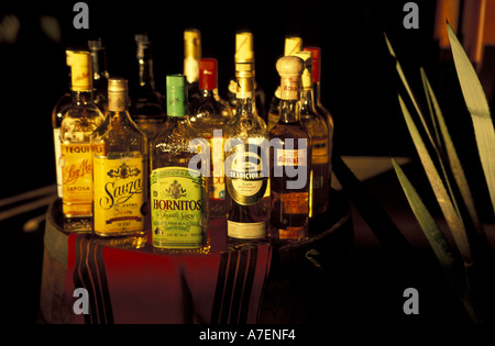 NA, Messico, Puerto Vallarta, Punta Mita. Vassoio di tequila al tramonto. Foto Stock