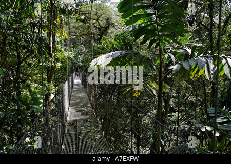 La foresta pluviale, Arenal ponti sospesi, Costa Rica Foto Stock
