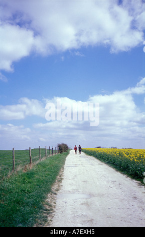 Walkers sul South Downs Foto Stock