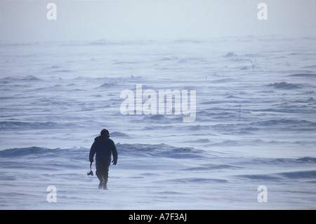 Stati Uniti d'America Alaska Nome fotografo passeggiate su congelati del mare di Bering ghiaccio durante la Blizzard per istantanee di Iditarod Sled Dog Race Foto Stock