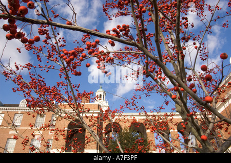 Foto di stock di Johns Hopkins University Campus Foto Stock