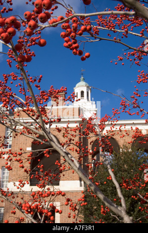 Foto di stock di Johns Hopkins University Campus Foto Stock