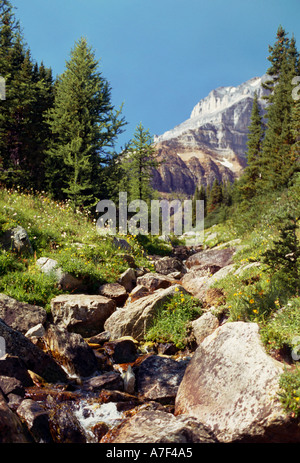 Piccola insenatura rocciosa con alberi e montagne distanti nel Parco Nazionale di Banff Alberta Canada Foto Stock