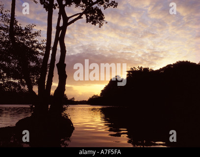 Alba sulle acque di Salhouse ampia Norfolk Broads East Anglia Norfolk England Regno Unito Foto Stock