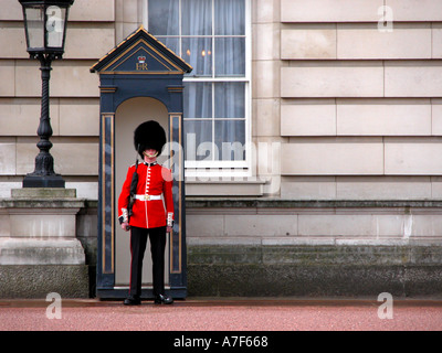 Granatiere Royal Guard a Buckingham Palace London Regno Unito Foto Stock