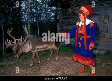 Sami donna con le renne, Sami donna, renne, Konttaniemi fattoria di renne, a nord di Rovaniemi, al di sopra del Circolo Polare Artico, Lapponia, Finlandia Foto Stock