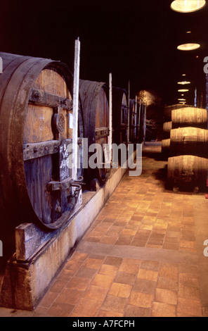 Le cantine del vino di Porto Porto Portogallo Foto Stock