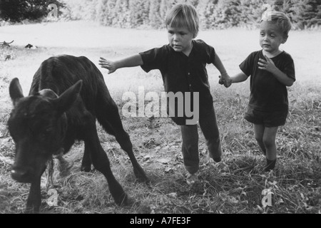 Big Sister mentre tiene il suo piccolo fratello mano mentre ci si avvicina a un vitello al tatto Foto Stock