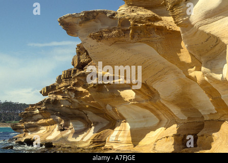 Dipinto di scogliere Maria Island Tasmania Australia Foto Stock