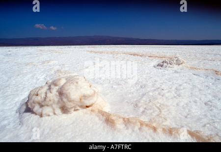 Lac Assal il Lago Assal Gibuti Gibuti. Africa triangolo di Afar Foto Stock