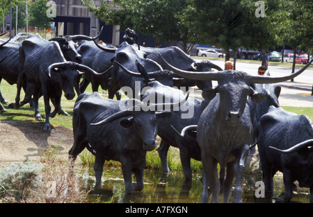 Longhorn bovini statue in bronzo di Dallas, Texas Foto Stock