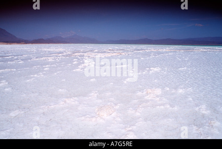 Lac Assal il Lago Assal Gibuti Gibuti. Africa triangolo di Afar Foto Stock