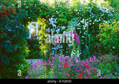 Garden Cottage Norfolk Inghilterra UK Arch arrampicatori Trellis Rosa Pauls Himalayan Musk fragrante maple geranio valeriana rosa Foto Stock