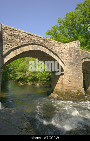 Nuovo ponte che attraversa il fiume Dart nella valle del Dart nr Ashburton Parco Nazionale di Dartmoor Devon Gran Bretagna Foto Stock