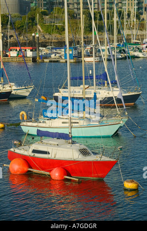 Barche su ormeggi fuori Sutton Harbour Plymouth Devon Gran Bretagna Foto Stock