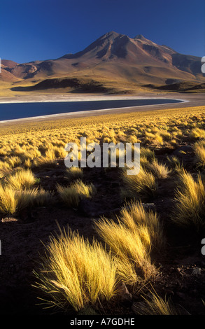 Laguna Miscanti Cerro Miniques Ande Nord del Cile Foto Stock