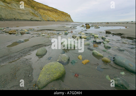 Scogliere e spiaggia di Cabo Virgenes il punto più meridionale del continental Argentina nr Rio Gallegos Patagonia Argentina Foto Stock