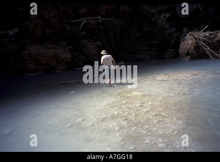 NA, STATI UNITI D'AMERICA, Arizona, Grand Canyon. Escursionista in Havasu Creek, Havasu Canyon Foto Stock