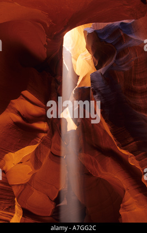 America, Nord Ameirca, Arizona, Superiore Antelope Canyon, Slot Canyon dell'altopiano del Colorado. Foto Stock