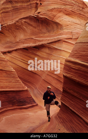 Stati Uniti d'America, Arizona, Paria deserto & Vermillion Cliffs, North Coyote Buttes, Wave rock formazione (MR) Foto Stock