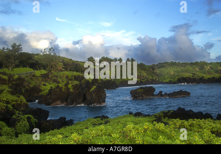 Stati Uniti d'America, HI, Maui. Pa'iloa Baia del Wai'anapanapa del Parco Statale di Maui. Foto Stock