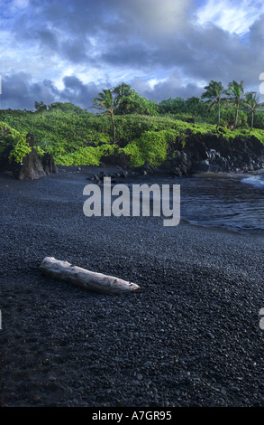 Stati Uniti d'America, HI, Maui. La sabbia nera Pa'iloa spiaggia a Wai'anapanapa State Park. Foto Stock